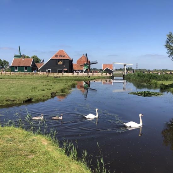 Unique Dutch villages Zaanse Schans, Dutch Farm and Giethoorn Tour incl boat