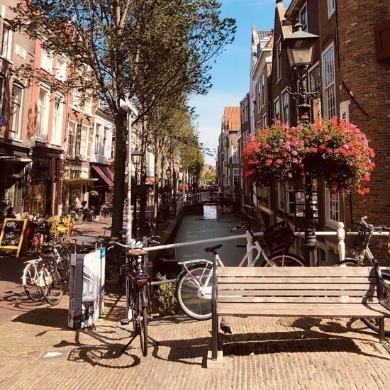 Rotterdam, Delft and Hague Full-Day Small Group Tour from Amsterdam: