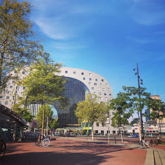 Rotterdam, Delft and Hague Full-Day Shared Small Group Tour