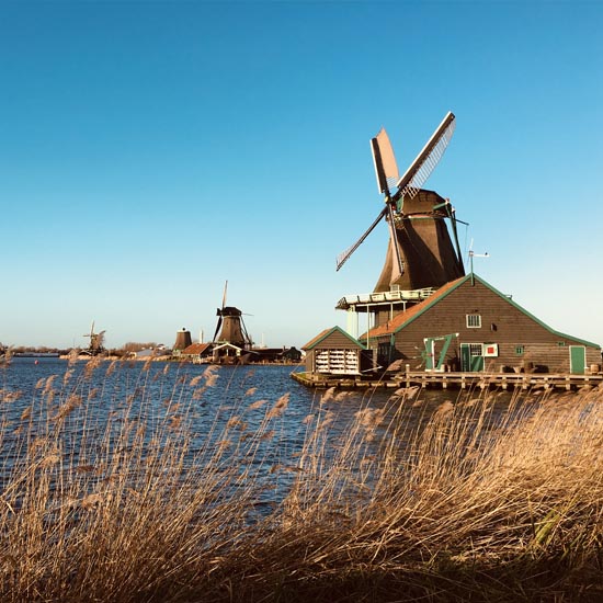Unique Dutch villages Zaanse Schans, Dutch Farm and Giethoorn Private Tour Up to 5 Traverlers